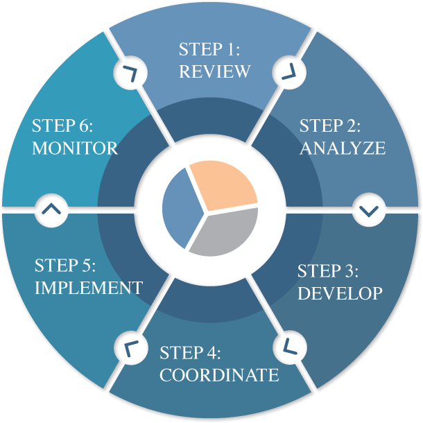 Haney 6 step process graphic